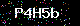 Please input Check Code